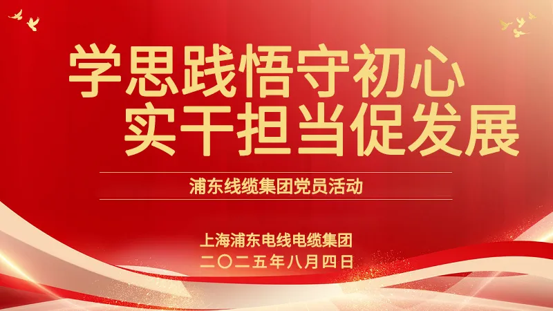 党员活动 | 浦东线缆集团：学思践悟守初心，实干担当促发展